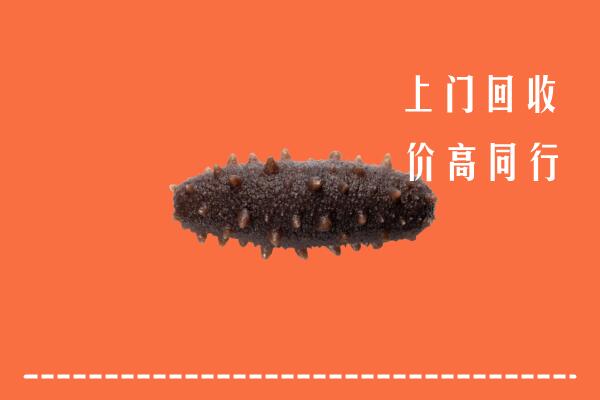 三门峡高价回收海参