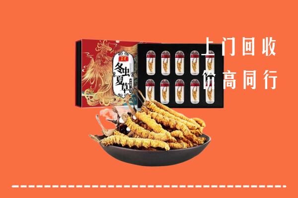 三门峡回收虫草